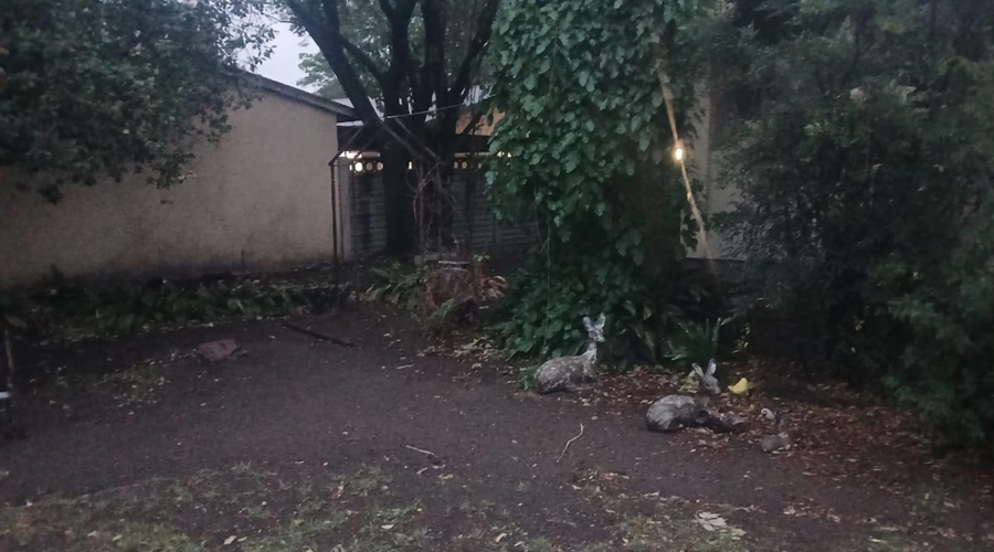 4 Bedroom Property for Sale in Sasolburg Free State